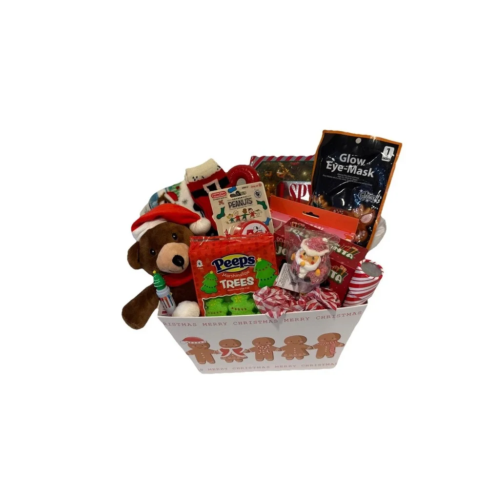Kids Christmas Gift Basket Teddy Bear Blanket Crafts Candy Toy Holiday Present